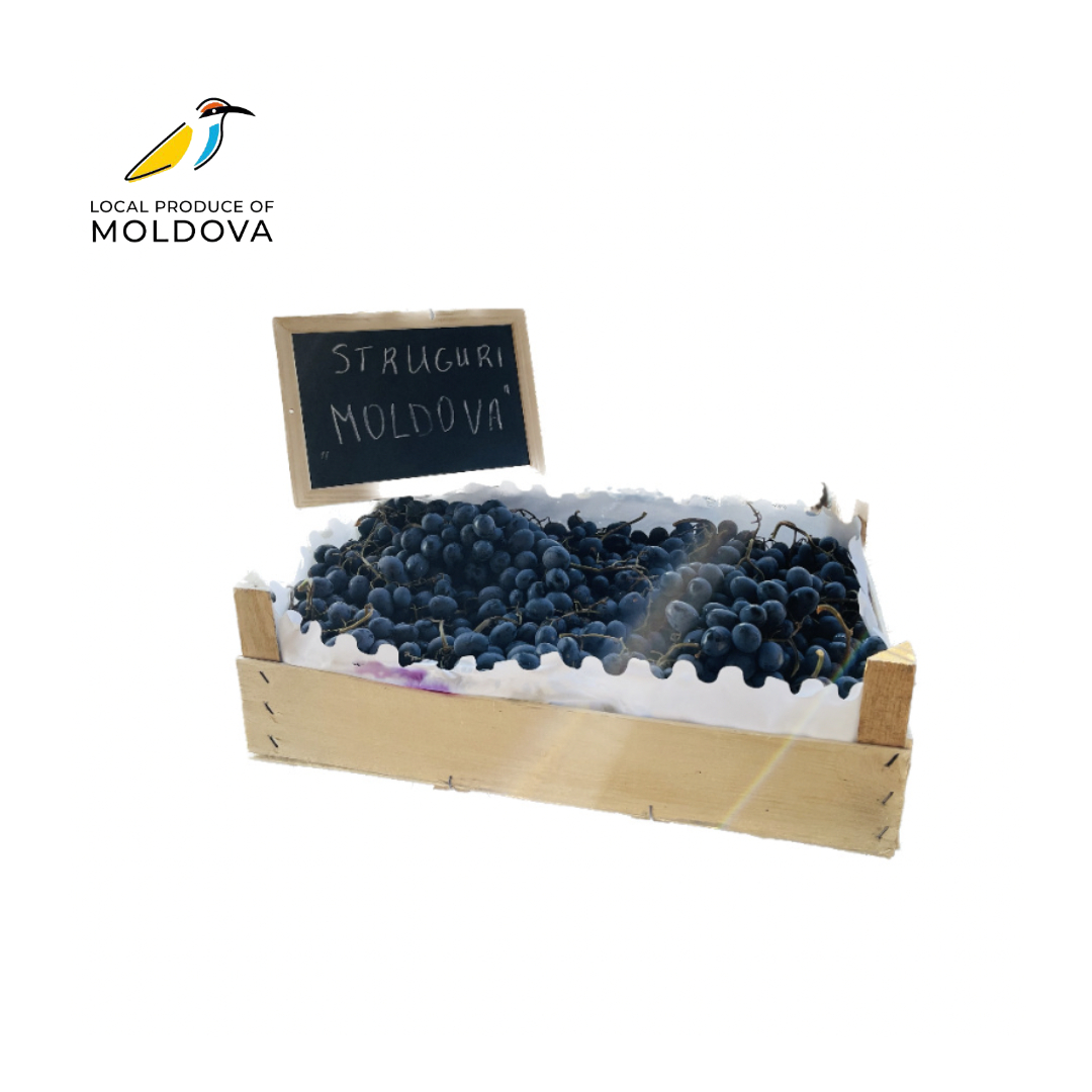 Struguri "Moldova"